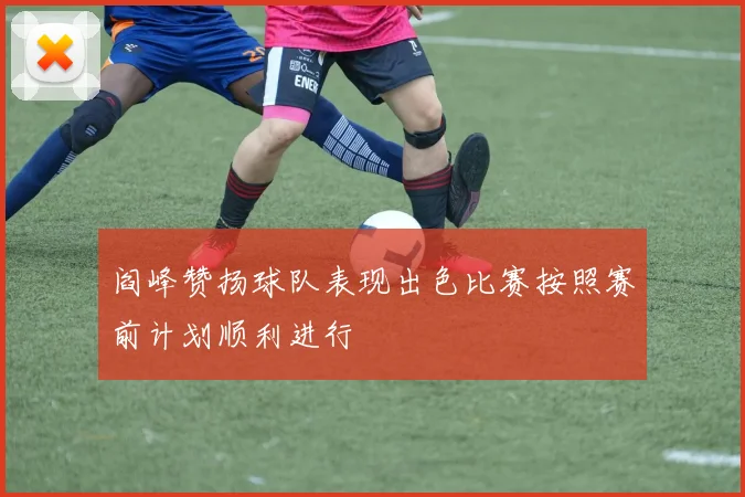 阎峰赞扬球队表现出色比赛按照赛前计划顺利进行